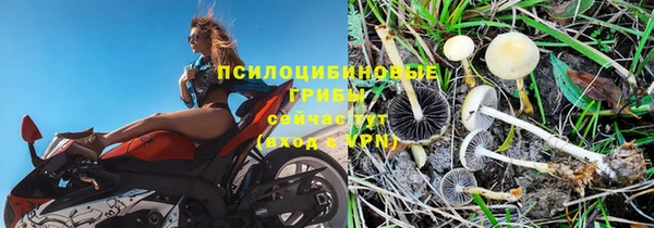 спиды Балахна