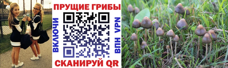 Псилоцибиновые грибы ЛСД Лермонтов