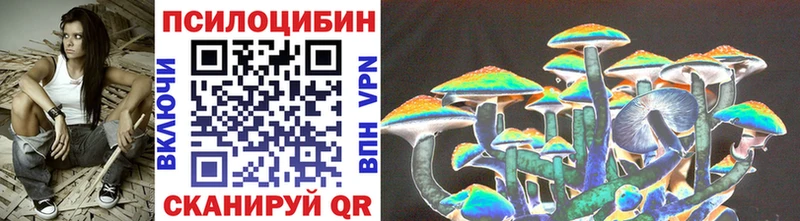 Псилоцибиновые грибы Cubensis  цены   Лермонтов 